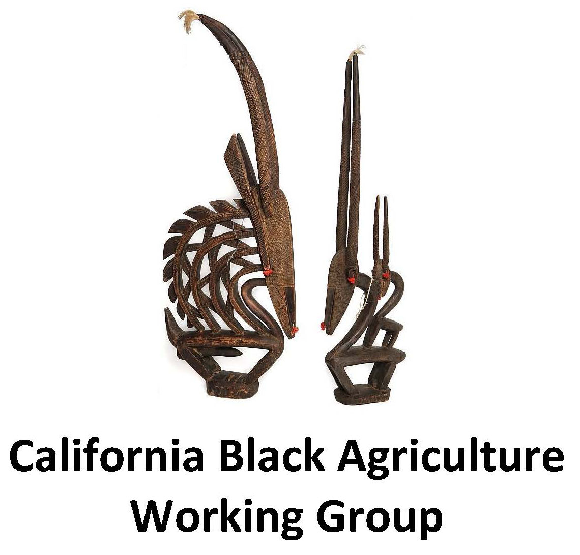 California Black Agriculture(1)